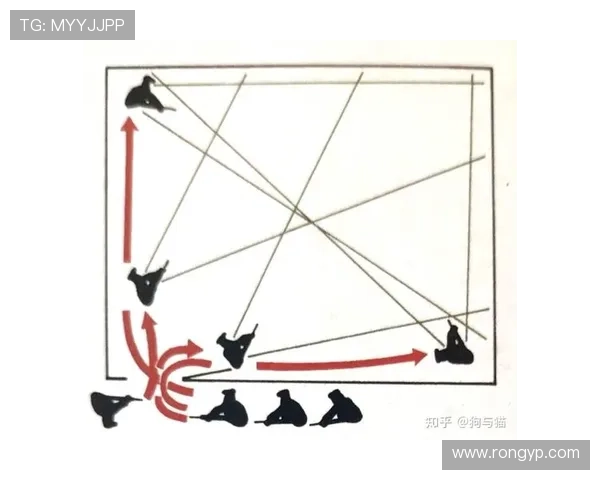 成都乒乓球队整体压制战术解析与实战应用探讨